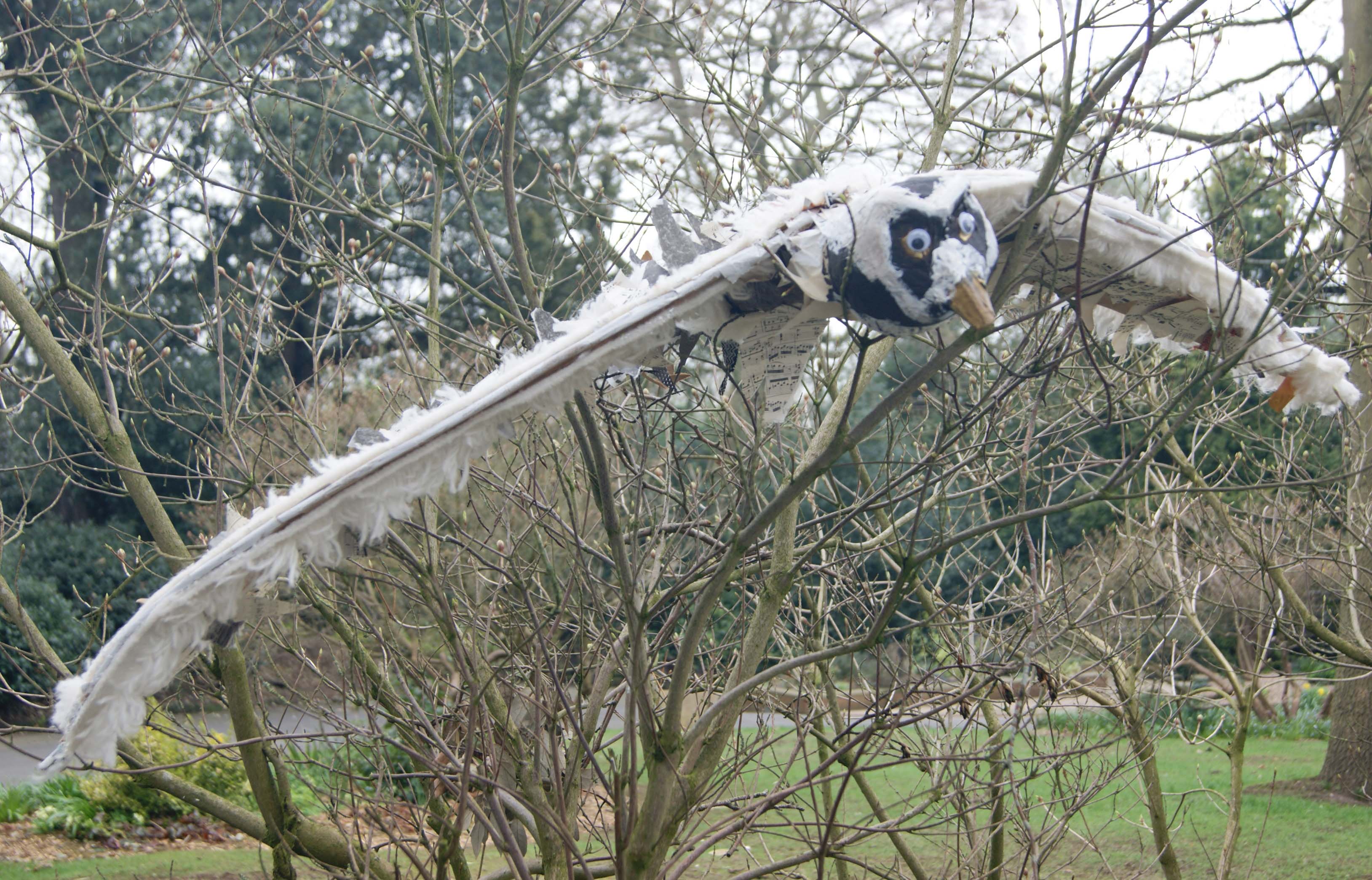 Owl Cheltenham College Year 8
